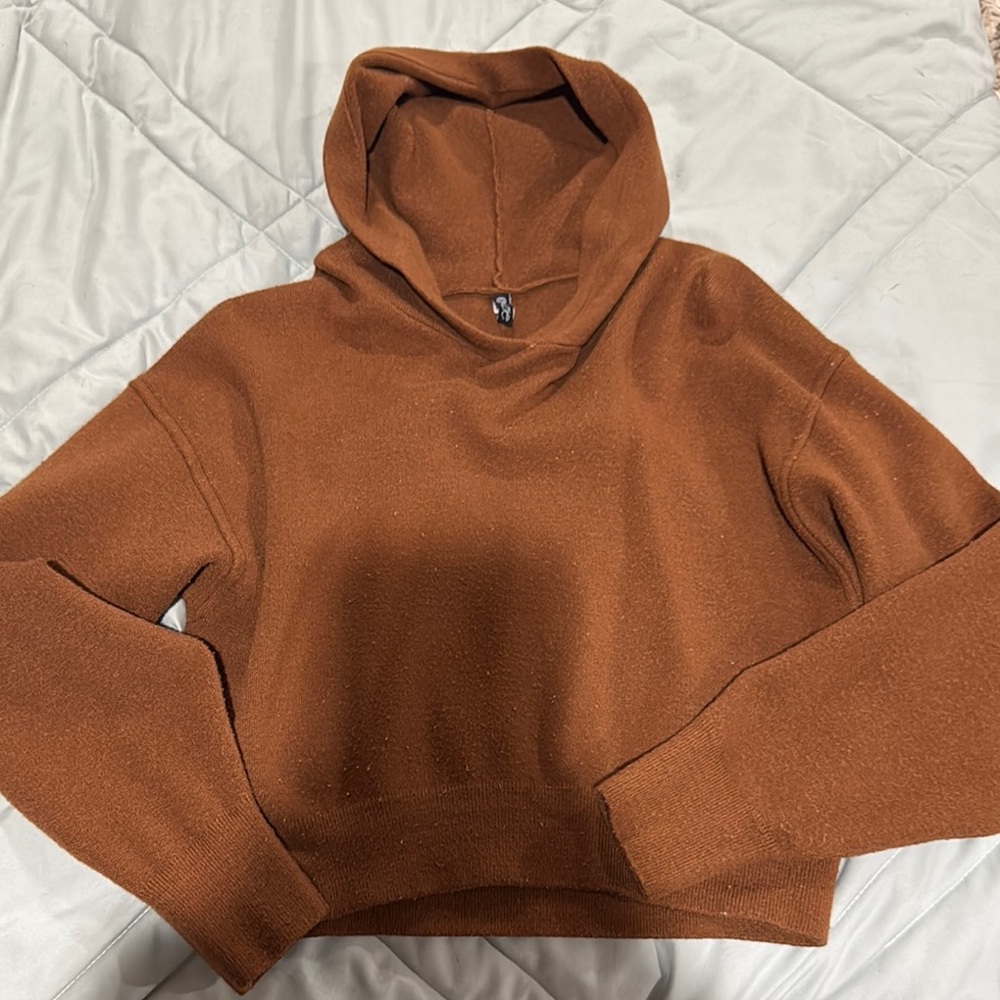 Brown ONZIE Cropped Hoodie